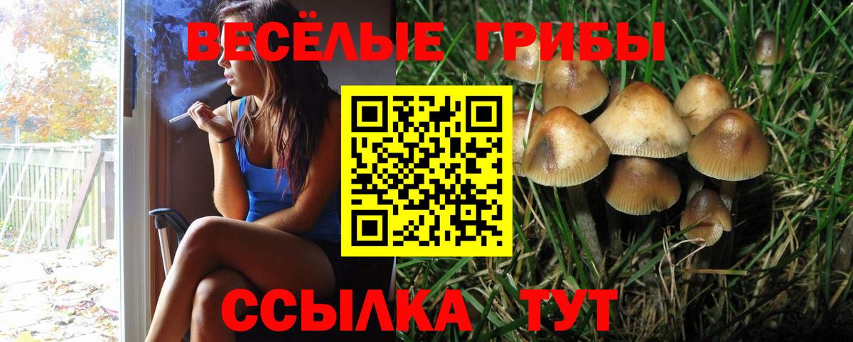 Галлюциногенные грибы GOLDEN TEACHER  Вход с VPN  Рыбинск  хочу   Псилоцибиновые грибы MAGIC MUSHROOMS 